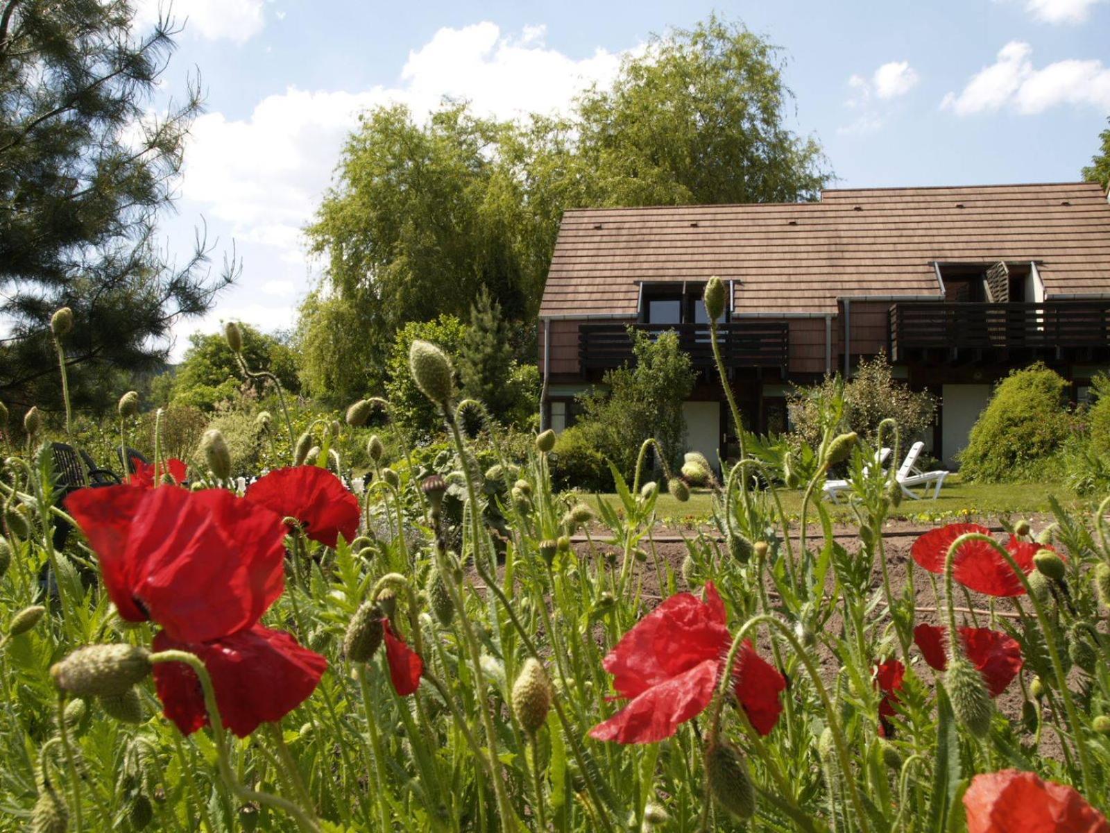 Alsace Village Obersteinbach Exteriér fotografie