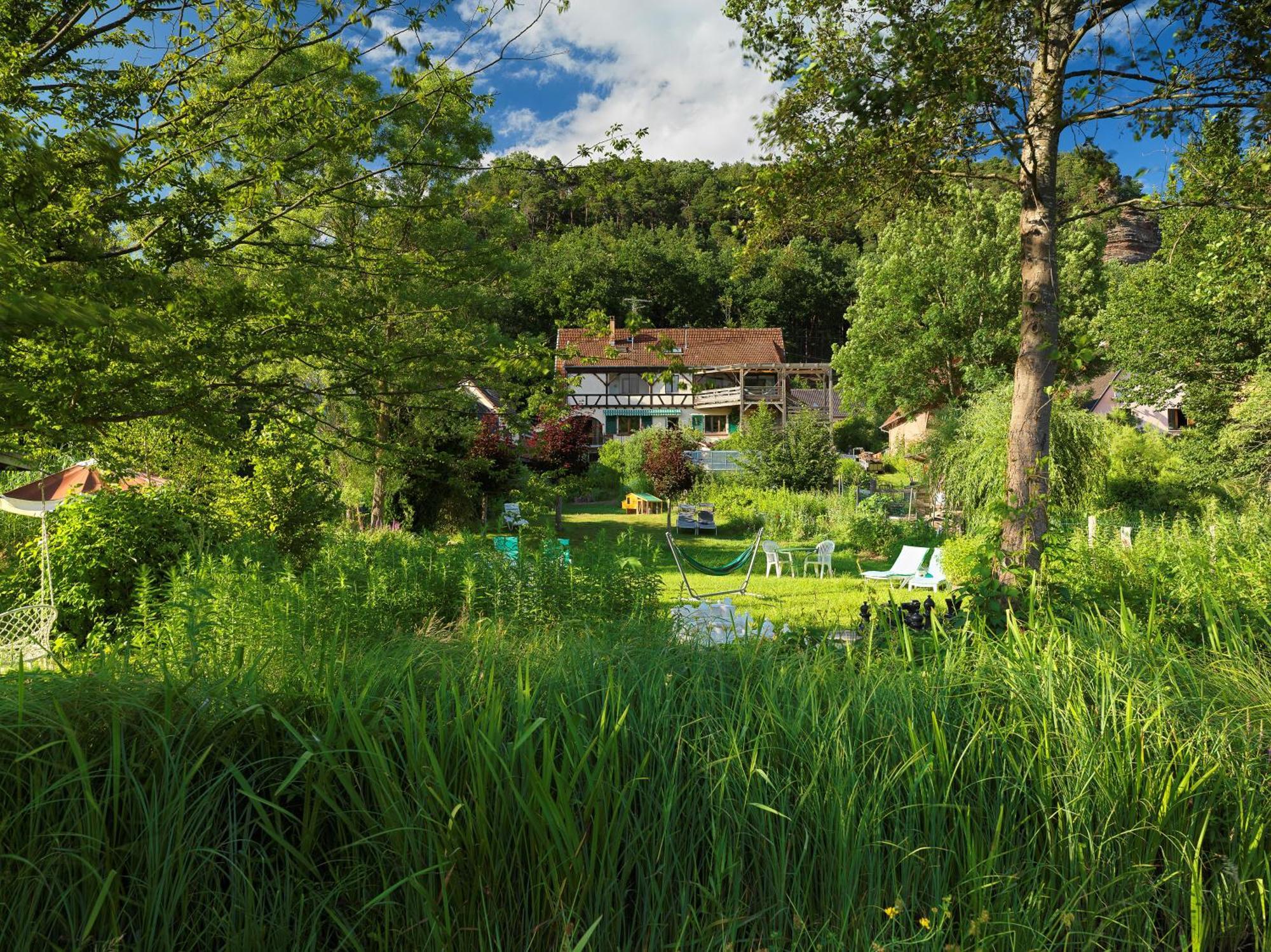 Alsace Village Obersteinbach Exteriér fotografie